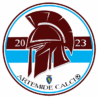 Artemide calcio